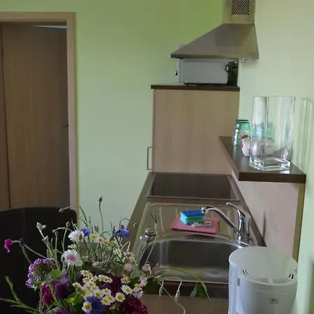 Apartment Landgasthaus Janshen Ellscheid