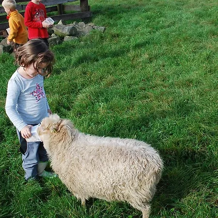 Landgasthaus Janshen