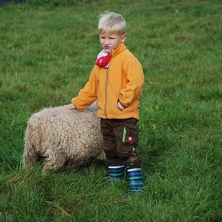 Апартаменты Landgasthaus Janshen *