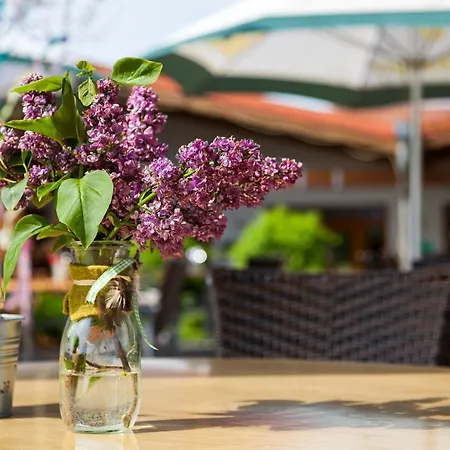 Landgasthaus Janshen Διαμέρισμα Ellscheid